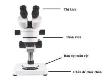 Kính hiển vi soi nổi là gì