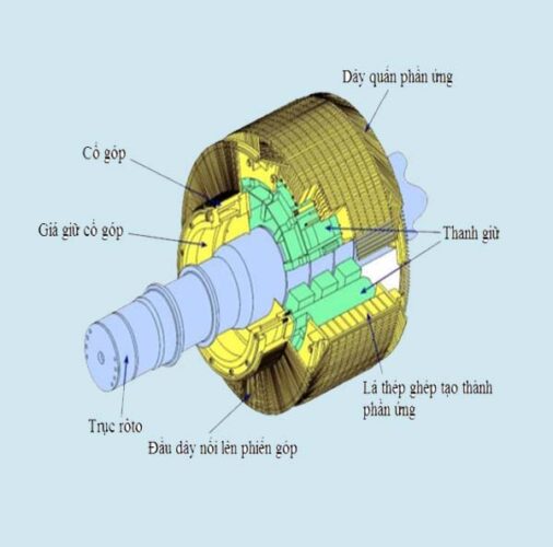Cấu tạo của vành góp như thế nào?