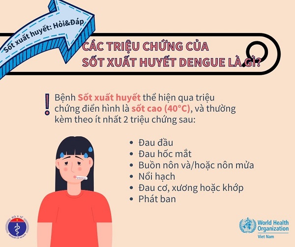 Các triệu chứng của sốt xuất huyết