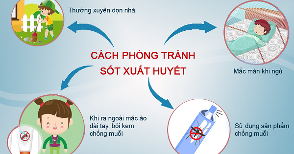 Cách phòng tránh bệnh sốt xuất huyết