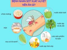 Người bị sốt xuất huyết nên ăn gì và không nên ăn gì?