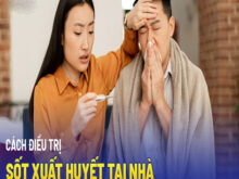 điều trị sốt xuất huyết tại nhà