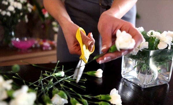 Cắt tỉa hoa đúng cách