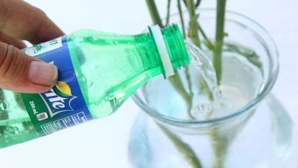Cách giữ hoa tươi lâu trong bình bằng nước ngọt