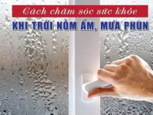 Bạn có biết cách chăm sóc sức khỏe gia đình mùa nồm ẩm