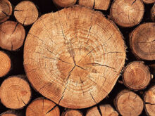 tiêu chuẩn độ ẩm gỗ