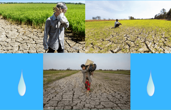 Tình trạng hạn mặn kéo dài ở các tỉnh miền Tây vào mùa khô