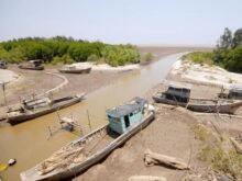 Hạn mặn là gì? Tình trạng hạn mặn ở miền Tây ngày càng gia tăng