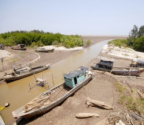 Hạn mặn là gì? Tình trạng hạn mặn ở miền Tây ngày càng gia tăng