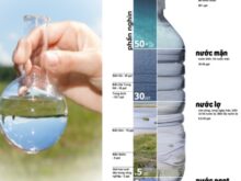 Tiêu chuẩn độ mặn trong nước sinh hoạt, tưới tiêu và thủy sản