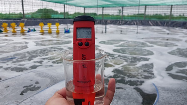 Máy đo pH giúp đo nhanh, chính xác, tiện lợi