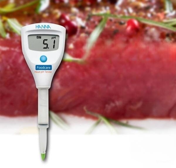 Bút đo pH Hanna HI981036