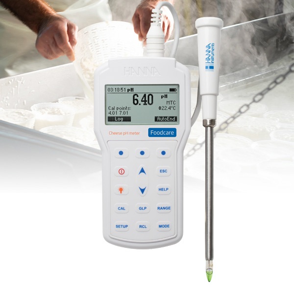 Máy đo pH Hanna HI98165