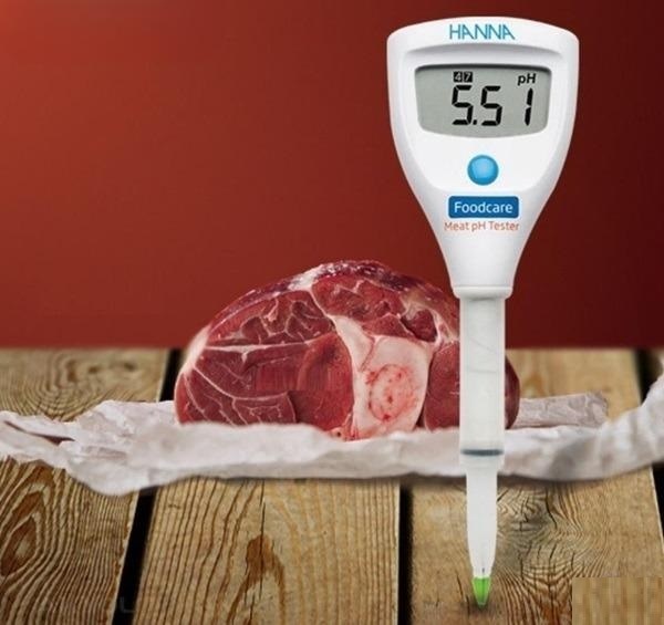 Bút đo pH/Nhiệt độ Hanna HI981036