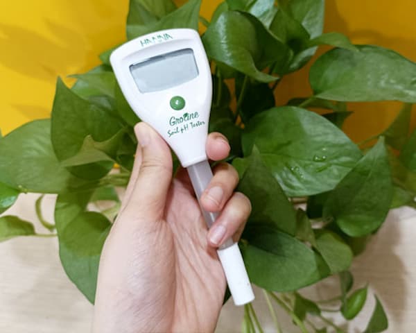 Hanna HI981030 phù hợp sử dụng trong lĩnh vực nông nghiệp