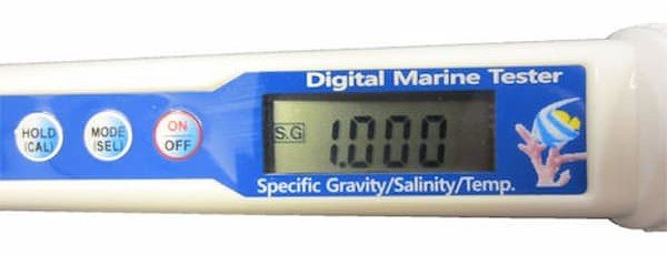 DMT-10 cho kết quả nhanh, thường dưới 10 giây