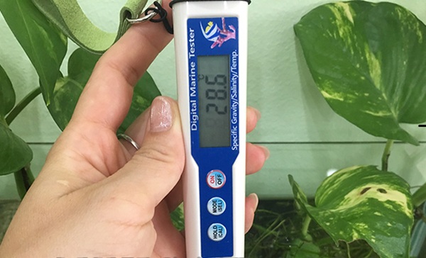 DMT-10 là bút đo độ mặn phù hợp cho hộ nuôi tôm/cá nhỏ – vừa